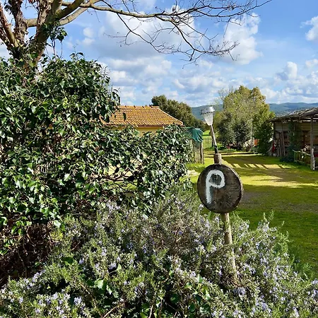 Apartment In Maremma Lo Stollo *