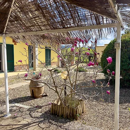 In Maremma Lo Stollo Apartment